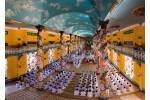Cao Dai Temple & Cu Chi Tunnels Tour - Ho Chi Minh Tours & Excursions | Ho Chi Minh - Cao Dai Temple - Cu Chi Tunnels Full Day